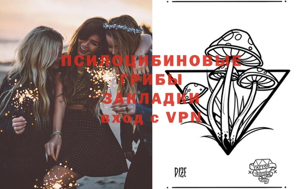 ПСИЛОЦИБИНОВЫЕ ГРИБЫ Алексеевка