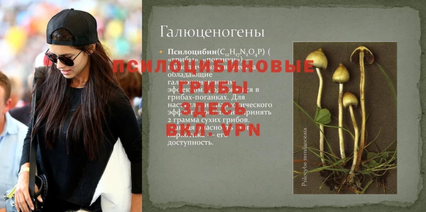 амфетамин Алексин