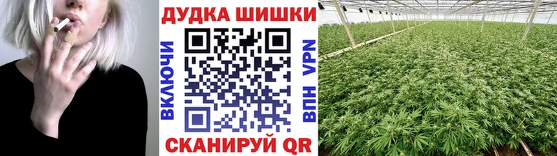 Бошки марихуана сатива Славск